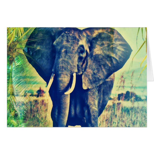 Elephant Palms (Vorderseite (Horizontal))