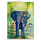 Elephant Palms (Vorne)