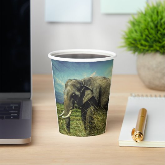 Elephant Pappbecher (InSitu)