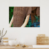Elephant pfeife meinen Garten Poster (Küche)