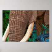 Elephant pfeife meinen Garten Poster (Vorne)