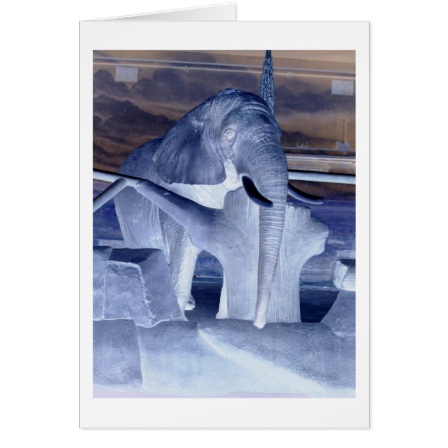 Elephant Pop Art (Vorne)