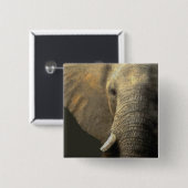 Elephant Portrait Button (Vorne & Hinten)