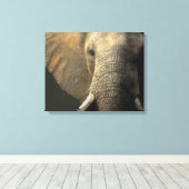 Elephant Portrait Leinwanddruck (Insitu (Holzboden))