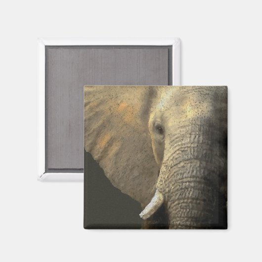 Elephant Portrait Magnet (Vorderseite/Rückseite)