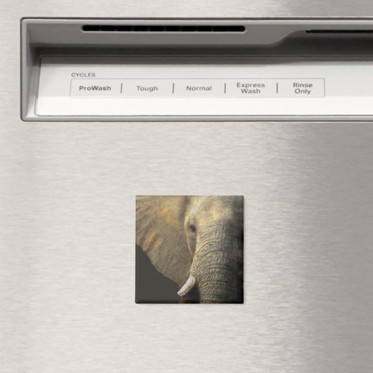 Elephant Portrait Magnet (In Situ (Geschirrspüler))