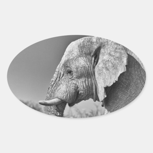 Elephant portrait ovaler aufkleber (Vorderseite)