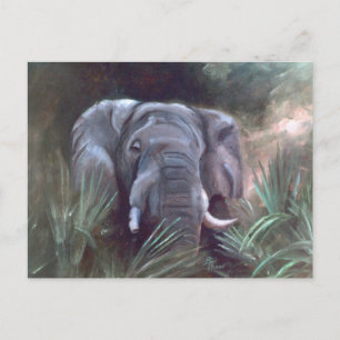 Elephant Portrait Postcard Postkarte