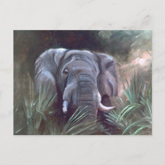 Elephant Portrait Postcard Postkarte (Vorderseite)
