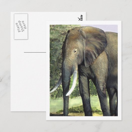 Elephant Postcard Postkarte (Vorne/Hinten)