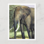 Elephant Postcard Postkarte (Vorderseite)
