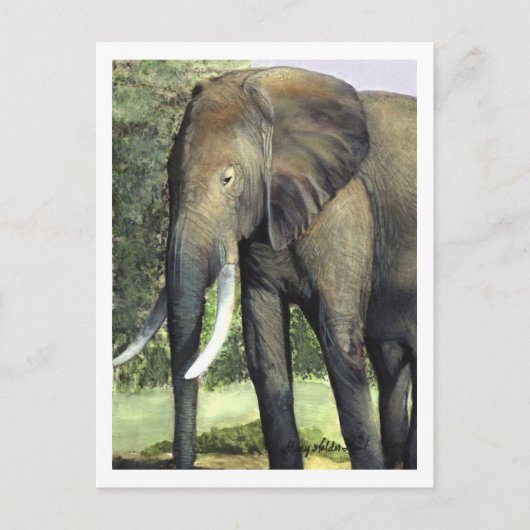 Elephant Postcard Postkarte (Vorderseite)