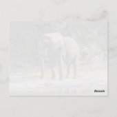 Elephant Postcard Postkarte (Rückseite)