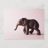 Elephant Postcard Postkarte (Vorderseite)