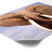 Elephant Poster (Ecke)