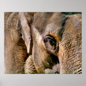 ELEPHANT POSTER (Vorne)