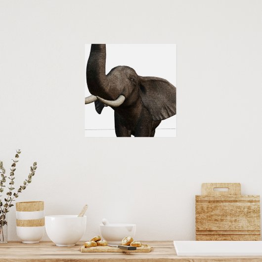 Elephant Poster (Küche)