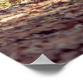 Elephant Poster (Ecke)