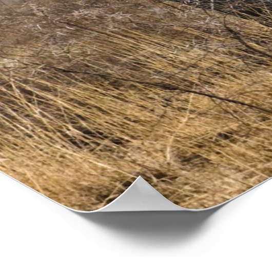 Elephant Poster (Ecke)
