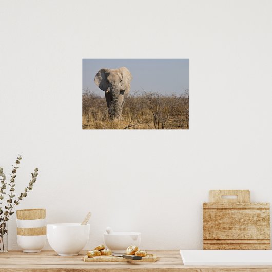 Elephant Poster (Küche)