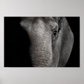 Elephant Poster (Vorne)