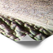 ELEPHANT POSTER (Ecke)