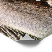 ELEPHANT POSTER (Ecke)