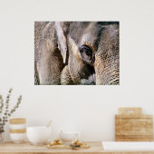 ELEPHANT POSTER (Küche)
