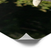 Elephant Poster (Ecke)