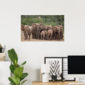 Elephant Poster (Heimbüro)