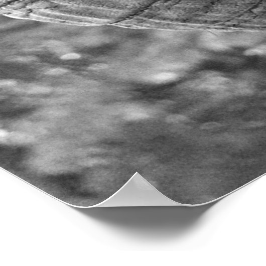 Elephant Poster (Ecke)