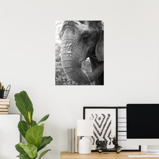 Elephant Poster (Heimbüro)