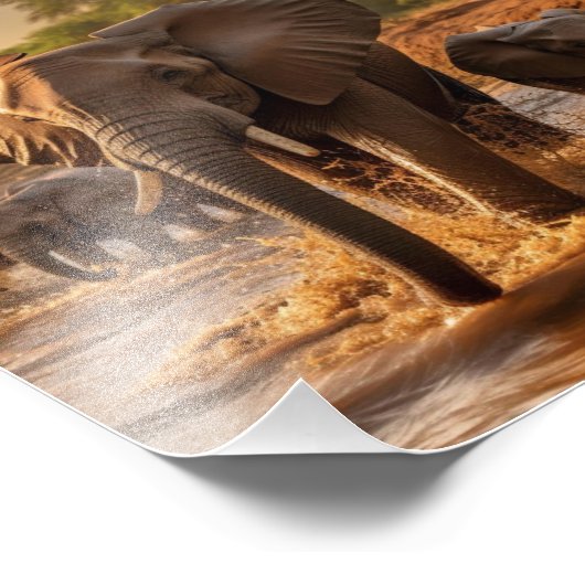 Elephant Poster (Ecke)