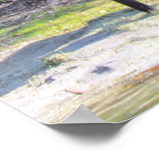 Elephant Poster (Ecke)