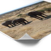 Elephant Poster (Ecke)