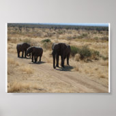 Elephant Poster (Vorne)