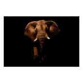 Elephant Poster (Vorderseite)