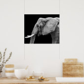 Elephant - Poster (Küche)
