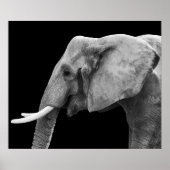 Elephant - Poster (Vorne)
