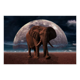 Elephant Poster