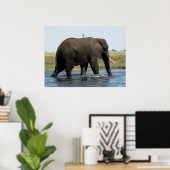 Elephant Poster (Heimbüro)