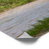 Elephant Poster in Farbe (Ecke)