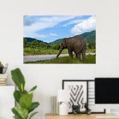 Elephant Poster in Farbe (Heimbüro)