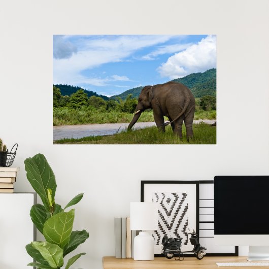 Elephant Poster in Farbe (Heimbüro)
