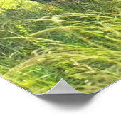 Elephant Posters Poster (Ecke)