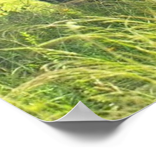 Elephant Posters Poster (Ecke)