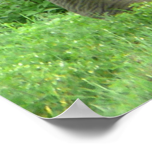 Elephant Posters Poster (Ecke)