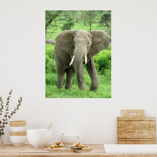 Elephant Posters Poster (Küche)
