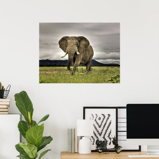 Elephant Posters Poster (Heimbüro)