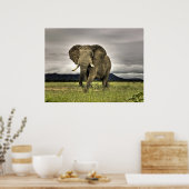 Elephant Posters Poster (Küche)
